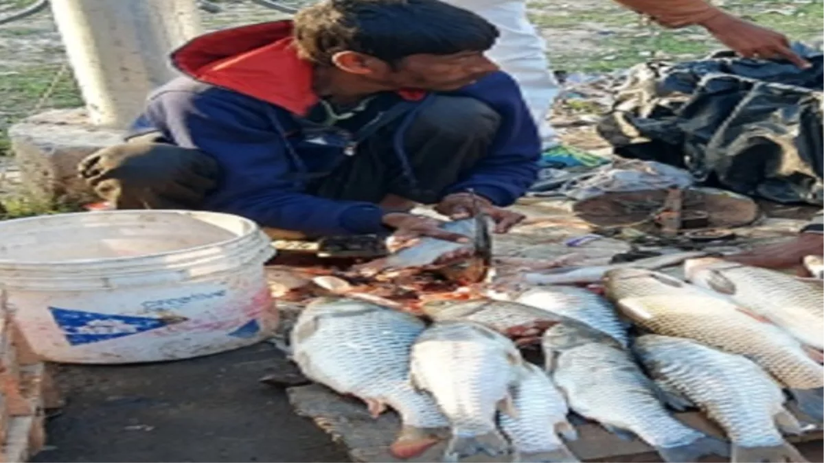 भागलपुर में नहीं बिकेगा खुले में मीट-मछली, नगर पालिका अधिनियम के तहत होगी कार्रवाई