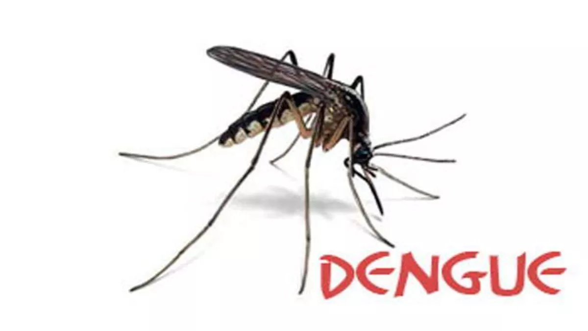 National Dengue Day: कोरोना से कम घातक नहीं डेंगू का डंक, बचाव के लिए बरतनी सावधानी