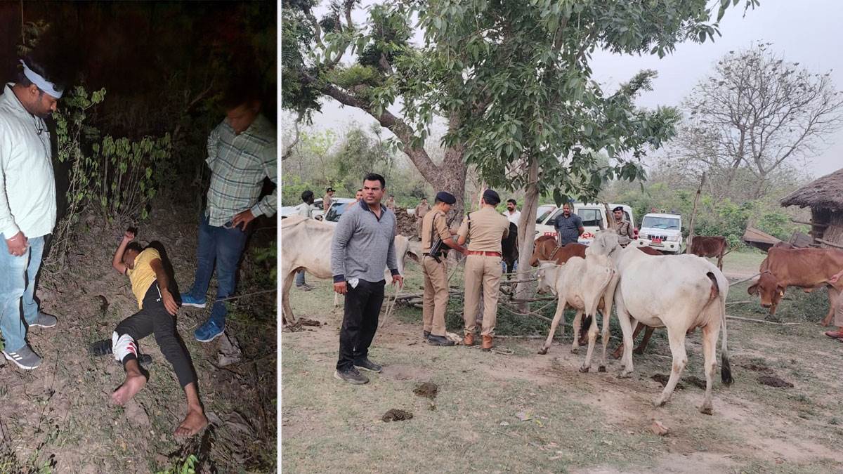 roorkee police encounter with cow smugglers forest smuggler arrested in khanpur forest range