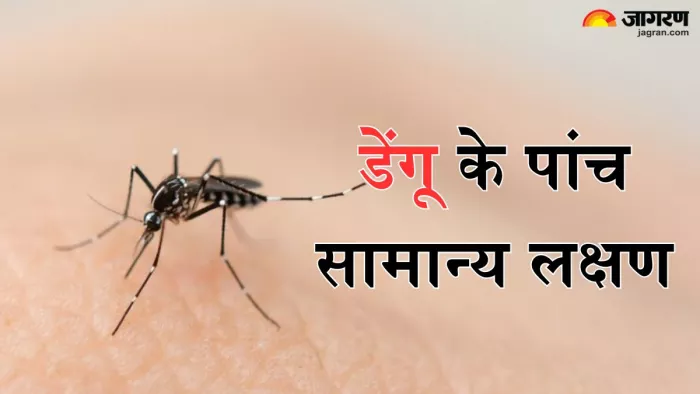 इन सामान्य लक्षणों से करें डेंगू की पहचान (Picture Credit- Freepik)