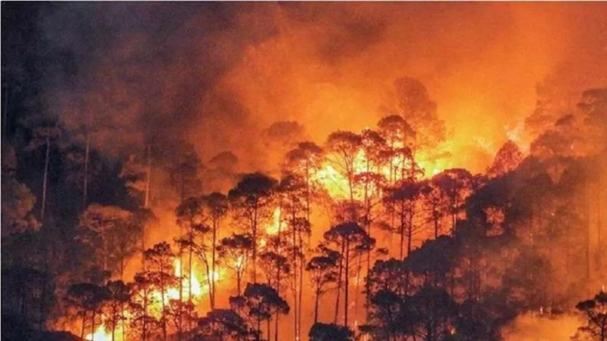 Himachal Forest Fire: हिमाचल में वनों की आग पर दावों का पानी, हर साल करोड़ों रुपये की वन संपदा होती है जलकर राख