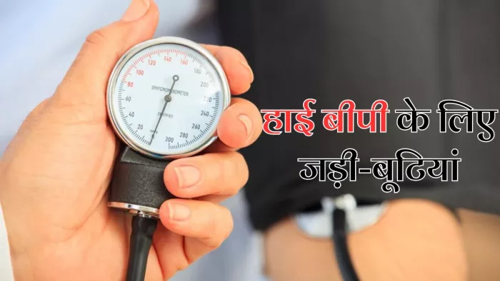 ब्लड प्रेशर कम करेंगी ये जड़ी-बूटियां (Picture Credit- Freepik)