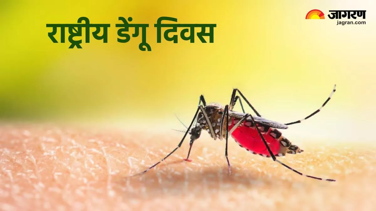 National Dengue Day 2024: कब मनाया जाता है राष्ट्रीय डेंगू दिवस? जानें इस दिन को मनाने की वजह
