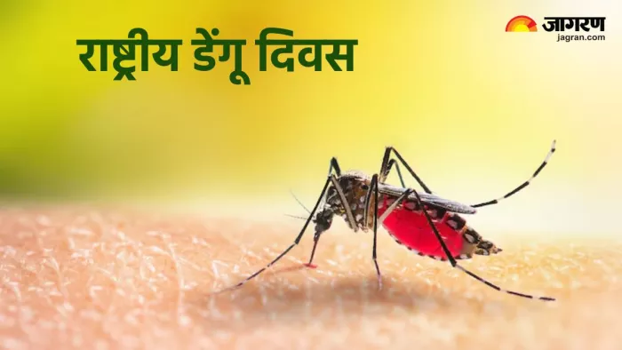 National Dengue Day 2024: डेंगू दिवस का इतिहास, महत्व व थीम