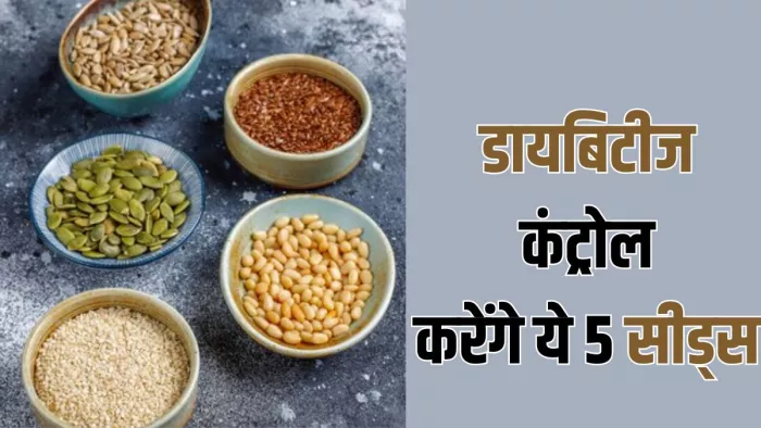 ब्लड शुगर को कंट्रोल में रखेंगे ये 5 बीज (Picture Credit- Freepik)