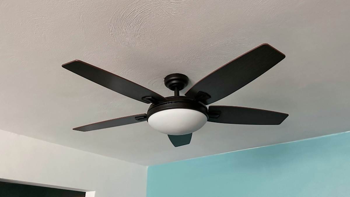 https://www.jagranimages.com/images/newimg/16052024/16_05_2024-top_ceiling_fan_in_india_23719197.jpg