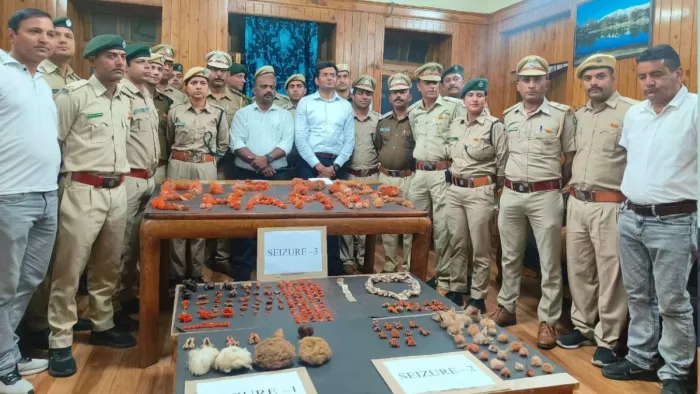 हिमाचल में वन विभाग ने आरोपितों के ठिकानों से भारी मात्रा में वन्य जीवों के अंग किए बरामद