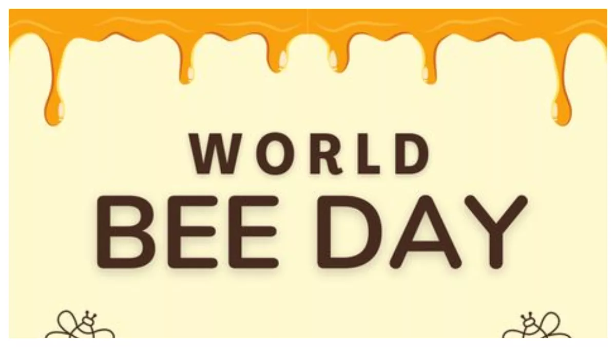 World Bee Day 2024: 5 बेस्ट सबसे सस्ते और ओरिजनल शहद अब आसानी घर मंगवा सकते हैं।