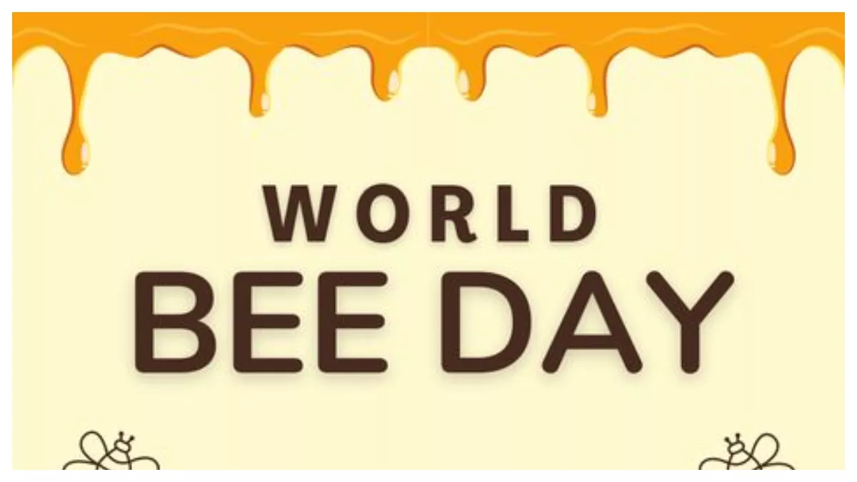 World Bee Day 2024: 5 बेस्ट सबसे सस्ते और ओरिजनल शहद अब आसानी से घर मंगवा सकते हैं।