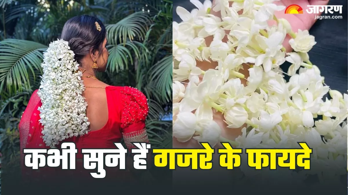 बालों की सुंदरता बढ़ाने वाला गजरा सेहत के लिए भी है फायदेमंद, ये खूबियां बनाती हैं इसे खास