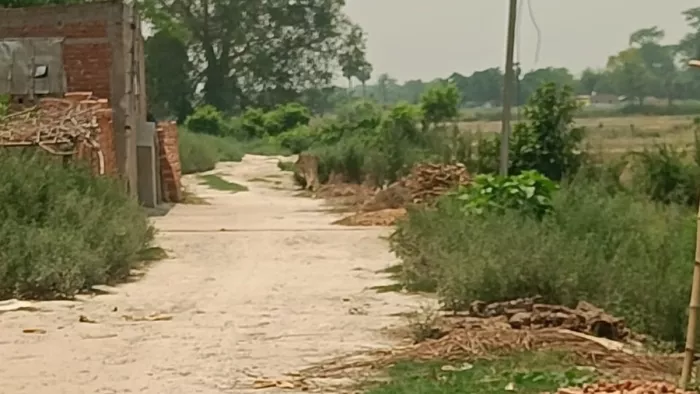 500 किलोमीटर ग्रामीण सड़कों को किया जाएगा दुरुस्त, 7 लाख लोगों को मिलेगा सीधा फायदा