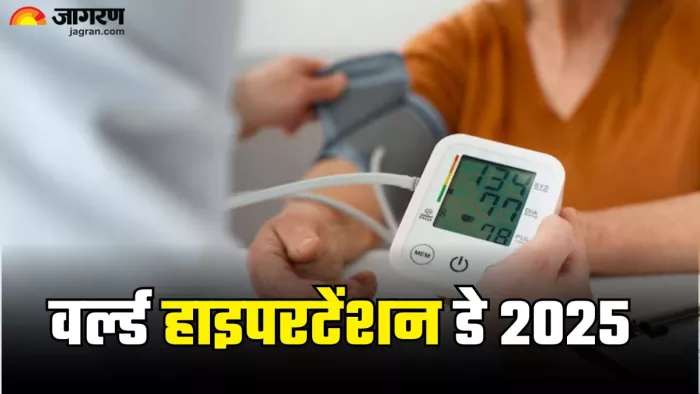हाई बीपी के 7 कारण (Picture Credit- Freepik)