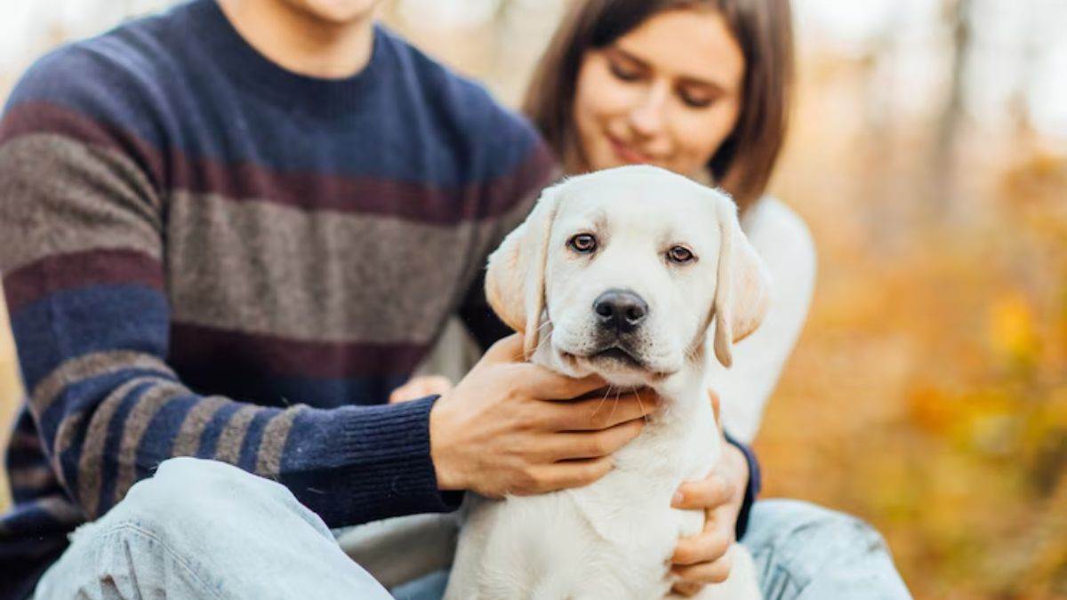 https://www.jagranimages.com/images/newimg/16052025/16_05_2025-pet_parent_23939155.jpg