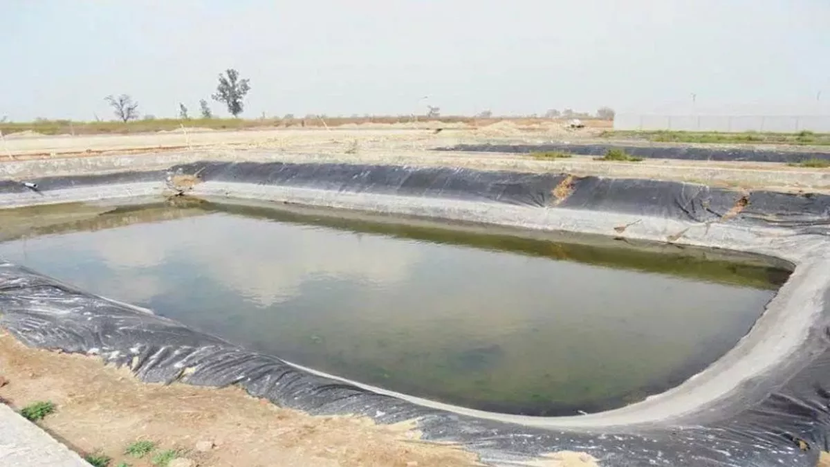 यूपी के इस शहर में डेढ़ बीघा के पोखरे की लगी 45 लाख की बोली, तहसीलदार ने रोकी नीलामी; वजह जानकर हो जाएंगे हैरान