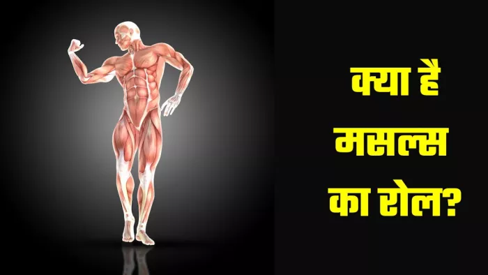 Muscles को मजबूत बनाने के लिए करें ये काम। (Image Credit- Freepik)
