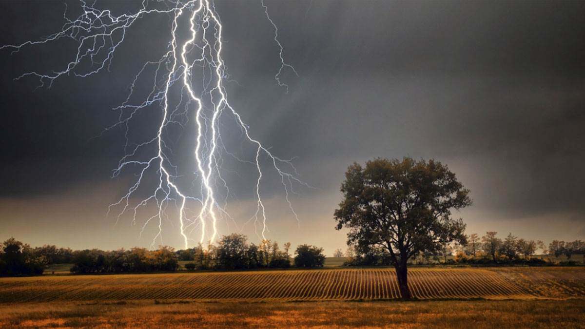 https://www.jagranimages.com/images/newimg/16052025/16_05_2025-thunder-storm_23939414.jpg