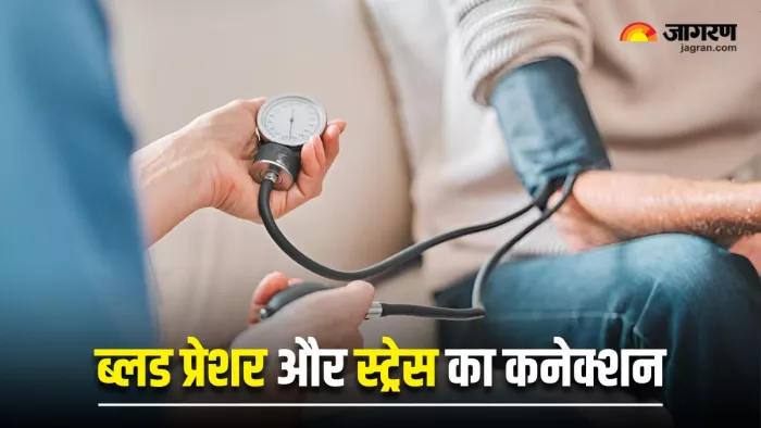 World Hypertension Day 2025: आपके ब्लड प्रेशर पर 6 तरीकों से असर डालता है स्ट्रेस (Image Source: Freepik)
