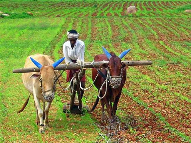 PM kisan Samman Nidhi Scheme: सरकार ने अगली किस्त से पहले किसानों को भेजा यह संदेश, है बड़ा फायदेमंद