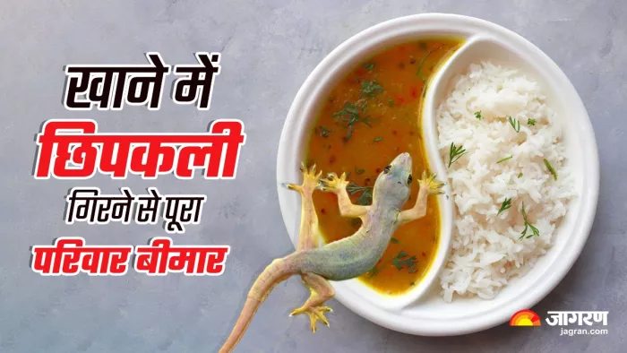 खाने में छिपकली गिरने से पूरा परिवार हुआ बीमार।