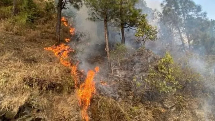 Fire in Forests: हिमाचल और जम्मू कश्मीर के धधक रहे वन (फाइल फोटो)