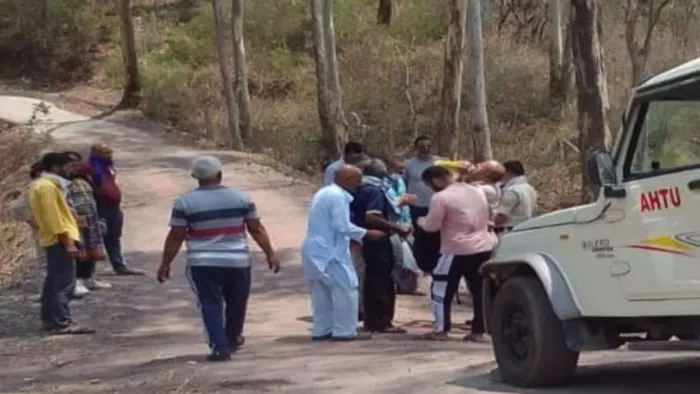 Himachal News: पेड़ से लटके मिले युवक-युवती के शव, मचा हड़कंप