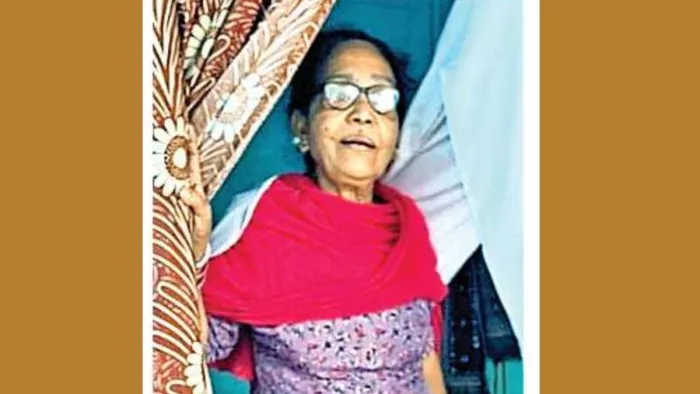 पाकिस्तानी महिला फरहत की फाइल फोटो। जागरण