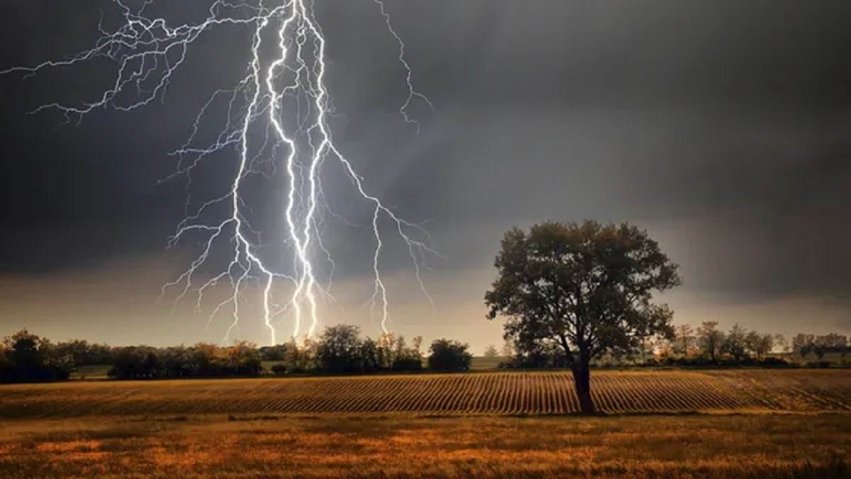 https://www.jagranimages.com/images/newimg/16062025/16_06_2025-lightning_strike_23965587.jpg