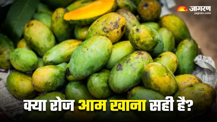 रोज एक आम खाने से शरीर पर क्या पड़ेगा असर? (Image Source: Freepik)