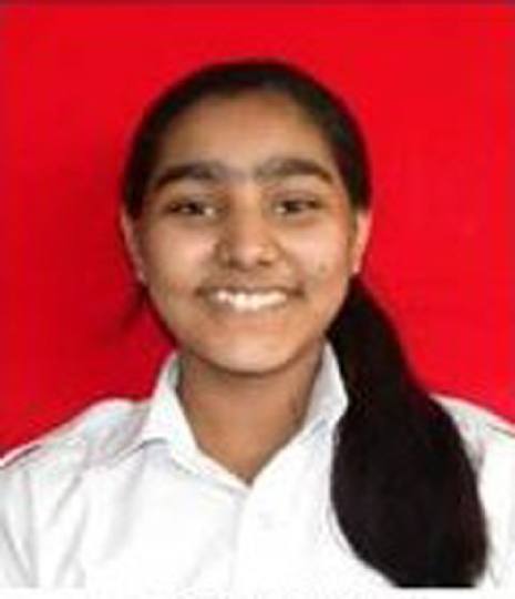 Dps maruti kunj fees picture