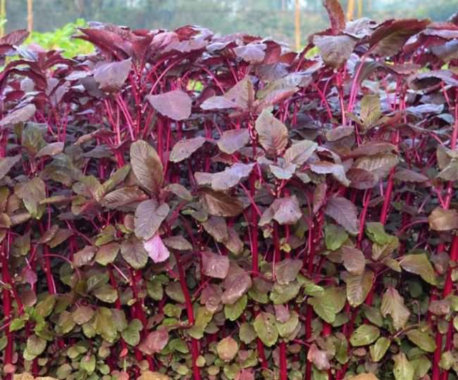 News Article Hero Image