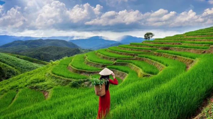 असम में फेमस हैं ये मशहूर पर्यटन स्थल