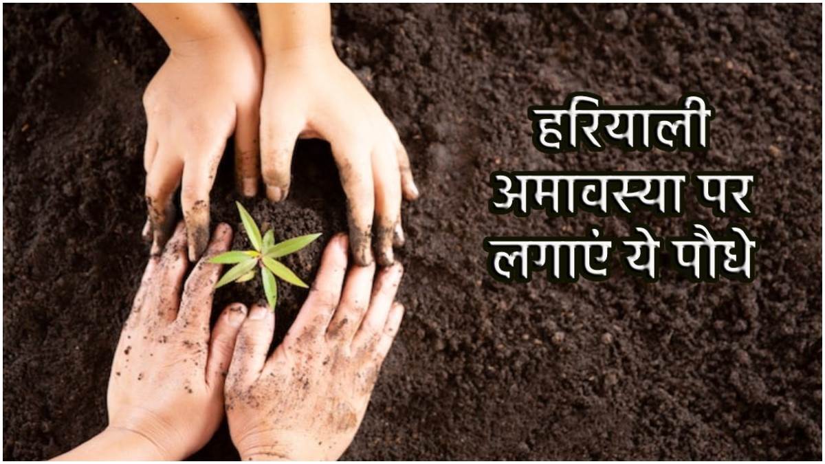 https://www.jagranimages.com/images/newimg/16072023/16_07_2023-hariyali_amavasya_2023_23472661.jpg