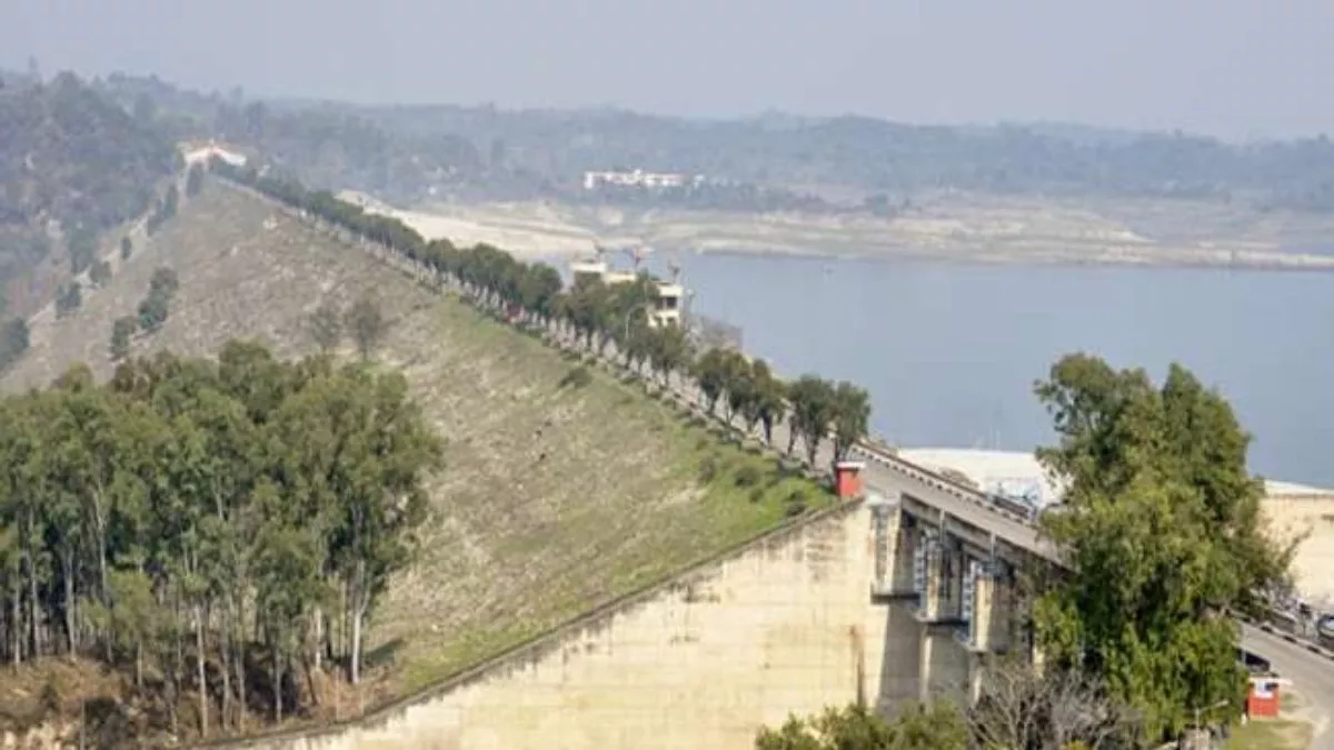 पोंग बांध से छोड़ा जाएगा 22300 क्यूसेक पानी बहाव क्षेत्र से दूर रहने की  डीसी ने की अपील; हेल्पलाइन नंबर जारी - DC appeals to stay away from  downstream area of Pong