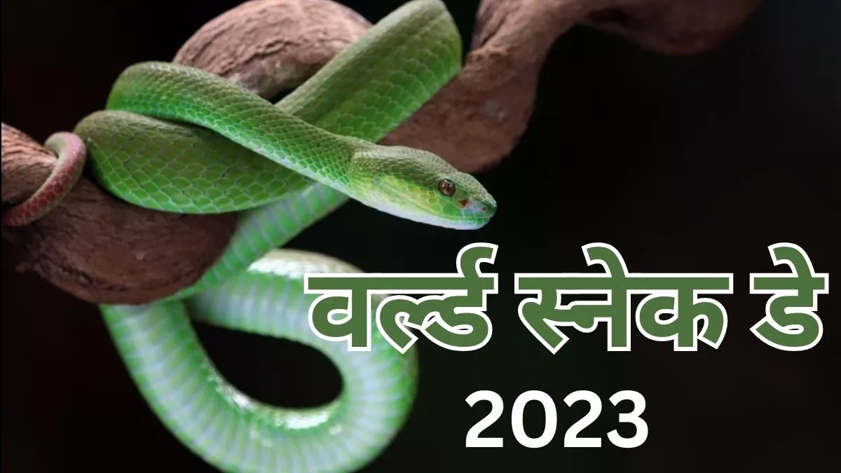 World Snake Day 2023 हर साल क्यों मनाया जाता है सांपों को समर्पित यह