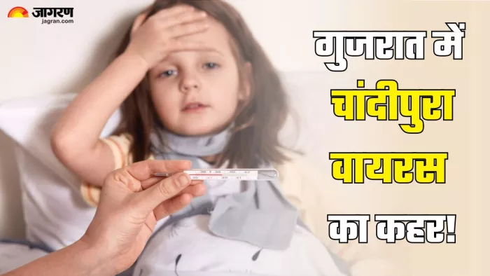गुजरात में कहर ढा रहा है चांदीपुरा वायरस (Picture Credit- Freepik)