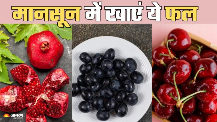 मानसून में खाएं ये मौसमी फल (Picture Credit- Freepik)