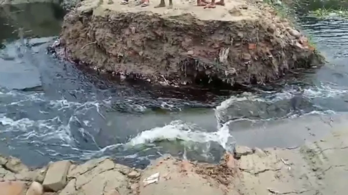 Siwan News: सरयू नदी के जलस्तर में आई गिरावट, खेतों में से कम होने लगा पानी; किसानों ने ली राहत की सांस