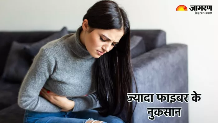 हाई फाइबर डाइट के फायदे व नुकसान (Pic credit- freepik)