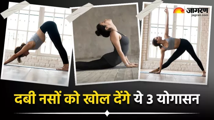 दबी हुई नसों को खोलने के लिए करें ये 3 योगासन (Image Source: Freepik)