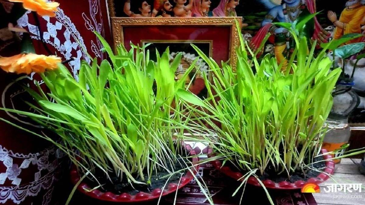 Harela Festival 2025