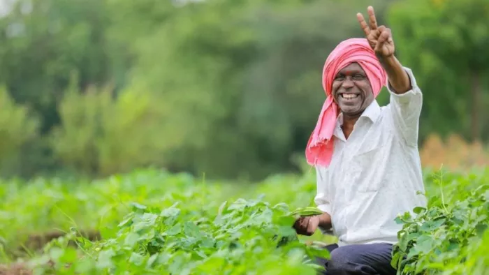 मोदी कैबिनेट ने दी पीएम धन धान्य कृषि योजना को मंजूरी।