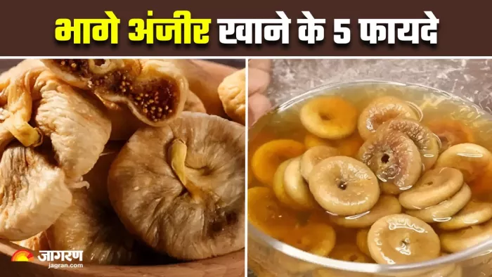 फायदों का भंडार हैं भीगे अंजीर, खाने पेट खाने से मिलेंगे 5 फायदे (Image Source: Freepik)