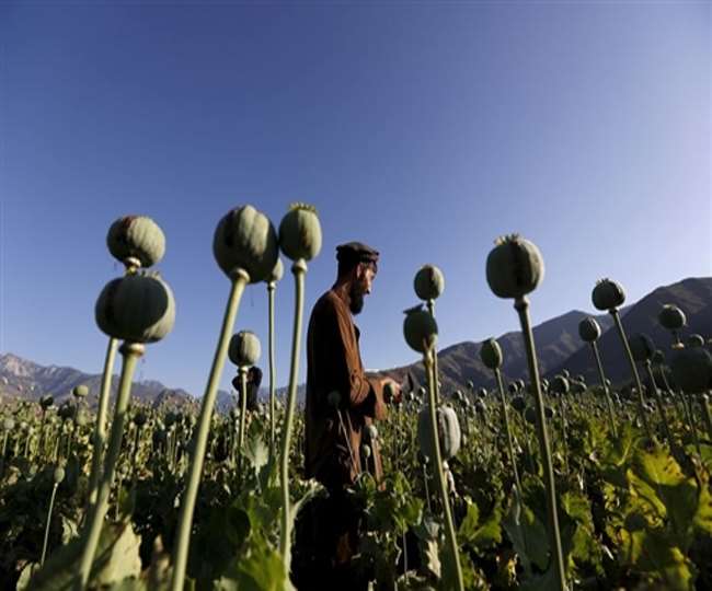 विकास की दौड़ में हमेशा पीछे रहा है अफगानिस्तान