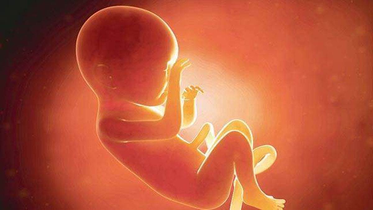 हावड़ा के जिले के उलबेड़िया में कूड़े के ढेर में 17 मानव भ्रूण मिले। सांकेतिक तस्‍वीर।