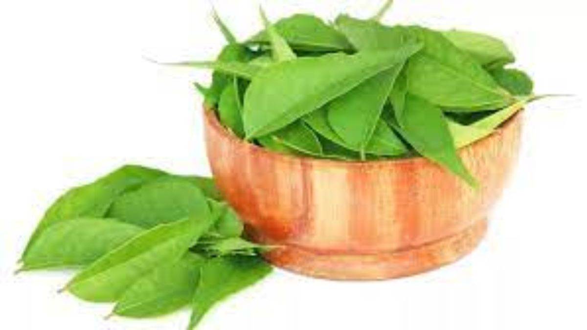amazing health benefits of curry leaves