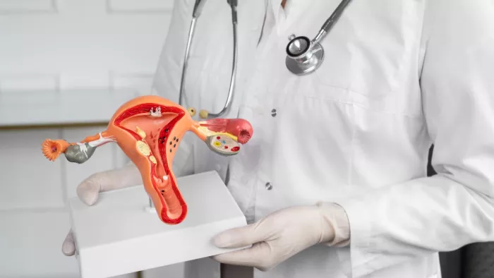 Reproductive Hormones: प्रेग्नेंसी के लिए जिम्मेदार हार्मोन्स