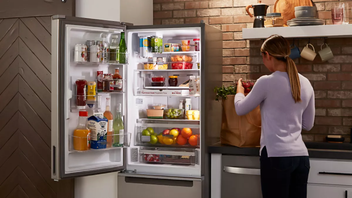 Latest Refrigerator Price: ज्यादा स्पेस और हाई कूलिंग रिटेंशन संग आते हैं ये फ्रिज, हर फैमिली के हैं बजट में