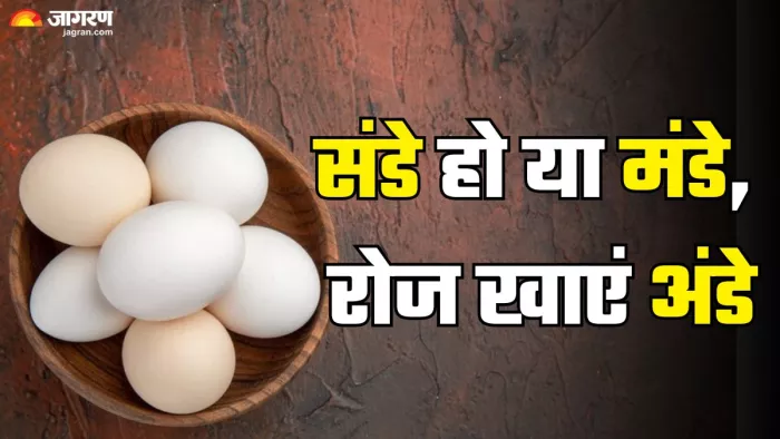 मानसून में रोजाना अंडे खाने के फायदे (Picture Credit- Freepik)