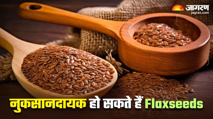इन 5 लोगों को नहीं खाने चाहिए Flaxseeds, सेहत को हो सकता है भारी नुकसान (Image Source: Freepik)