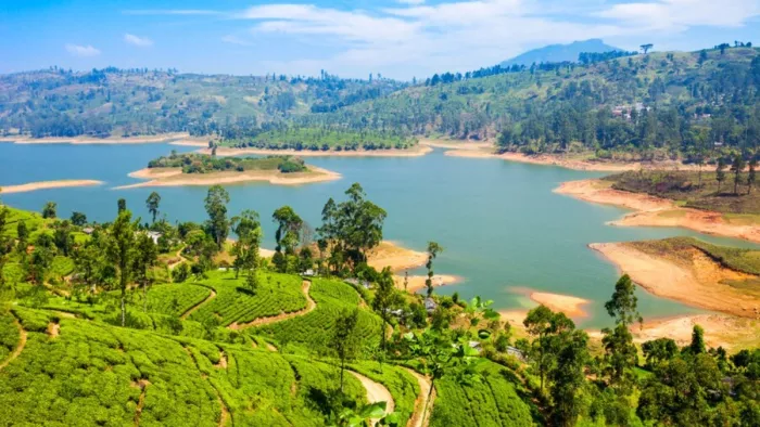 श्रीलंका जाते समय रखें इन बातों का ध्यान (Picture Credit- Freepik)